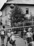 Boys and Girls Playing Volleyball