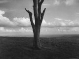 Malvern Hills  Where Robert Frost Once Lived