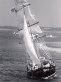 The Black Pearl Sailing Off of Martha's Vineyard