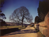 Road Leading Out of Village of Hambledon During WWII