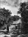 Two Children Walking Down a Dirt Road Going Fishing on a Summer Day