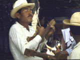 Mariachi Singers Strumming on Ukuleles