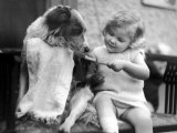 Toddler Trying to Brush Dog's Teeth