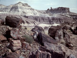 Petrified Forest National Monument