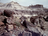 Painted Desert in the Petrified Forest National Monument