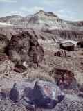 Petrified Forest National Monument