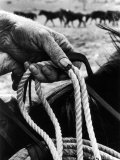 Rough  Dirty  Weather Beaten Hand of a Cowboy Holding a Rope