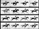 Photographer Eadweard Muybridge's Study of a Horse at Full Gallop in Collotype Print