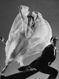 Tony and Sally Demarco  Ballroom Dance Team  Performing