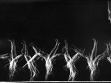 Stroboscopic Image of Tumbling Sequence Performed by Danish Men's Gymnastics Team