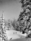 Skiing in Heavy Snow in Western Mountains