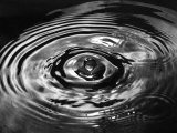 Stop Action Photograph of Drop of Water as It Falls and Finally Splashes