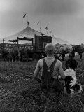Young Boy and His Dog Watching the Circus Tents Being Set Up