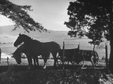 View of an Farm in Virginia
