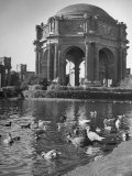 Palace of Fine Arts