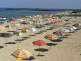 Rows of Open Beach Umbrellas Lining a Sandy Cape Cod Beach