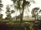 Ruins at Olympia  Site of First Olympic Games