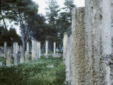 Ruins at Olympia  Site of First Olympic Games