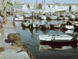 Small Fishing Boats Moored in Vieux Port of Marseilles