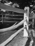 The Sun Shining on the Sharp Split Rail Fence