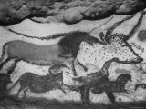 Prehistoric Cave Painting of Animals