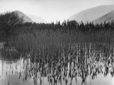 Marsh Area in Country Region Where Wordworth Lived and Wrote His Poems