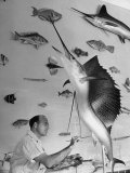 Taxidermist Working on Fish