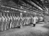 Rows of Meat in Storage at Bronx Warehouse