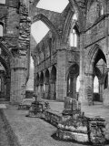 The Ruins of Tintern Abbey  a Cistercian 13th Century Church