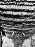 Worker at Pasta Factory Inspecting Spaghetti in Drying Room