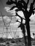 Power Line That Carries Current from Hoover Dam to Los Angeles  in Mojave Desert