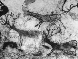 Prehistoric Cave Painting of Animals