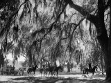 Quail Hunters Riding on Horseback