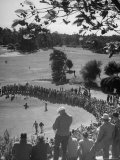 Spectators Watching as Men Compete in the Golf Tournament  Riviera Country Club
