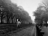Rider on Horseback in Hyde Park