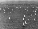 The Start of the Newport Ensenada Race