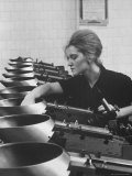 Woman Worker Operating an Automatic Size Sorting Machine
