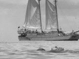 Person on Vacation in the Caribbean Sea in Front of a Catamaran