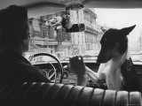 Woman Taxi Driver Sharing Front Seat with Pet Dog