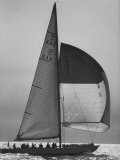 The Pattie Bounding For Home After the Trials For the America's Cup