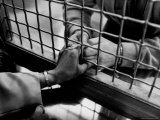 Prisoner Ronald Gallagher and Wife Holding Hands