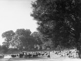 People Enjoying a Beautiful Spring Day in Hyde Park
