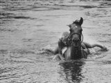 Sydney Hoyle Floundering on Back of Horse in Water at Full Cry Farm