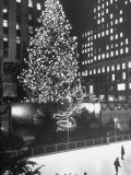 Rockefeller Center Christmas Tree at Night