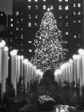 Rockefeller Center Christmas Tree at Night