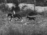 Patrick Powell Horseback Riding