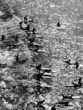 Surf Riders Surfing