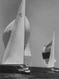 Trial Race For the America's Cup