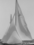 Trial Race For the America's Cup