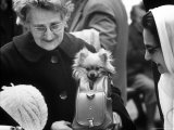 Parisian in the Park of the Buttes Chaumont Carrying Her Pet Dog "Fifi" in Leather Bag
